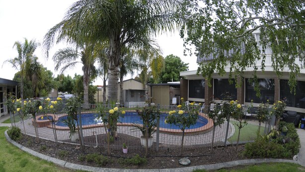 A landscaped area with a pool, surrounded by a fence and various plants. - Warrina Motor Inn Wodonga CBD (Wodonga)