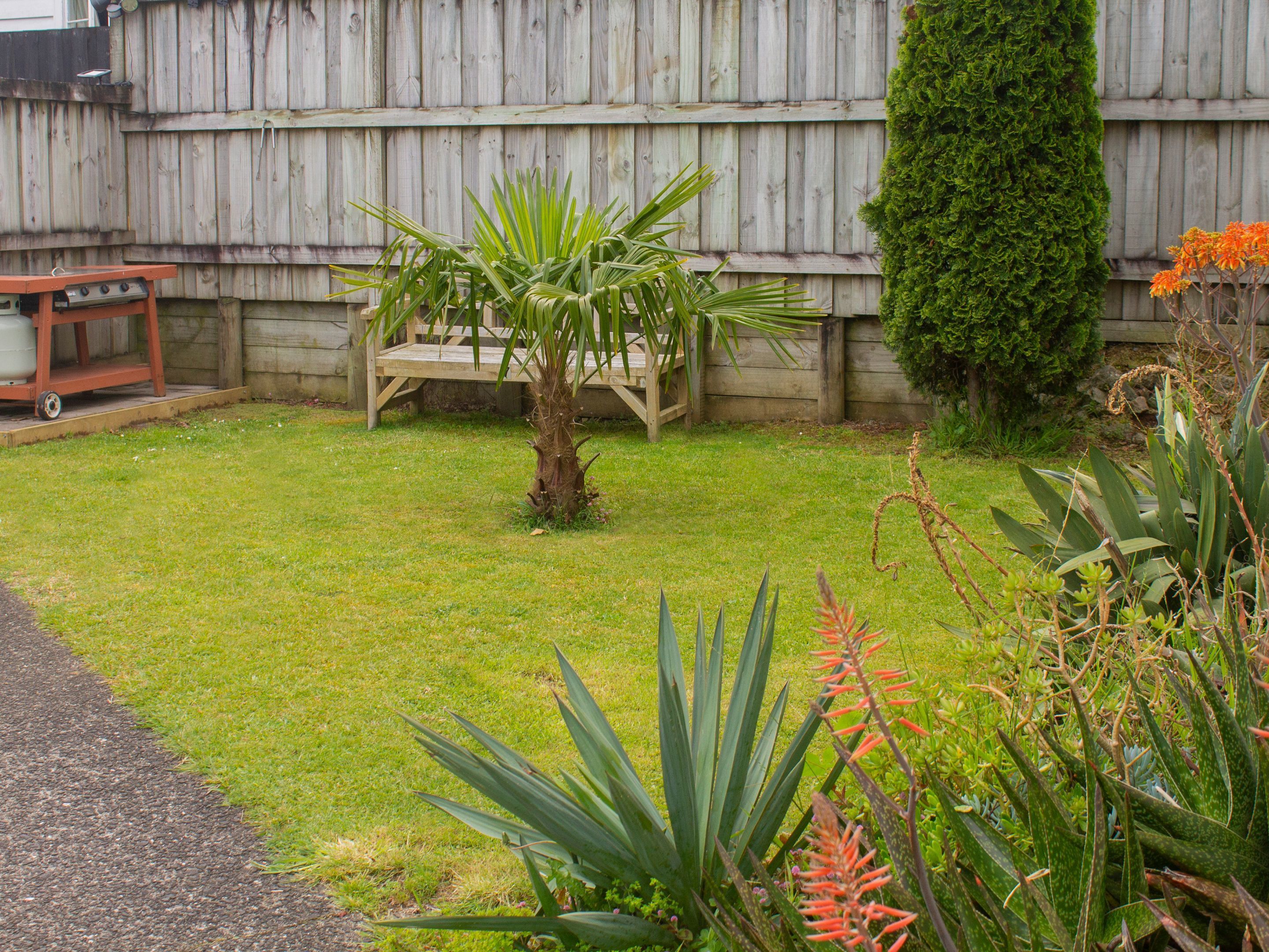 A small garden with a wooden bench, a variety of plants, and a wooden fence in the background.