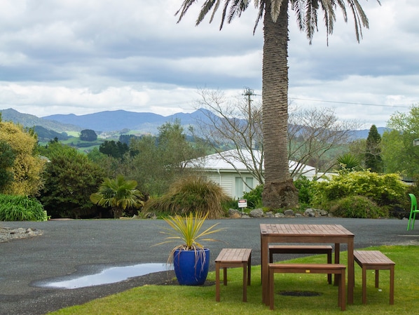 Garden - Palm Motel Waihi (Waihi)