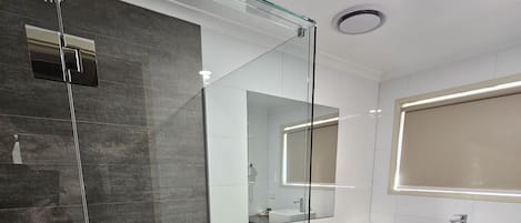 Deluxe Apartment | Bathroom | Shower, free toiletries, hair dryer, towels