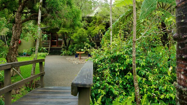 A wooden pathway leading to a building with a sign indicating a restaurant. - Broken River Mountain Resort (Broken River)