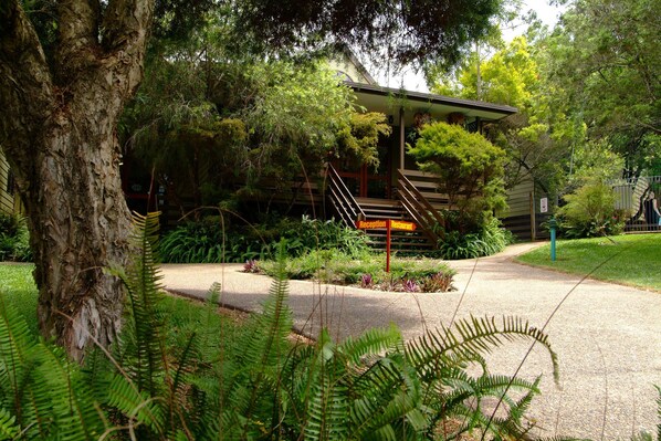 A reception area with a staircase leading to a building, surrounded by lush greenery and ferns.