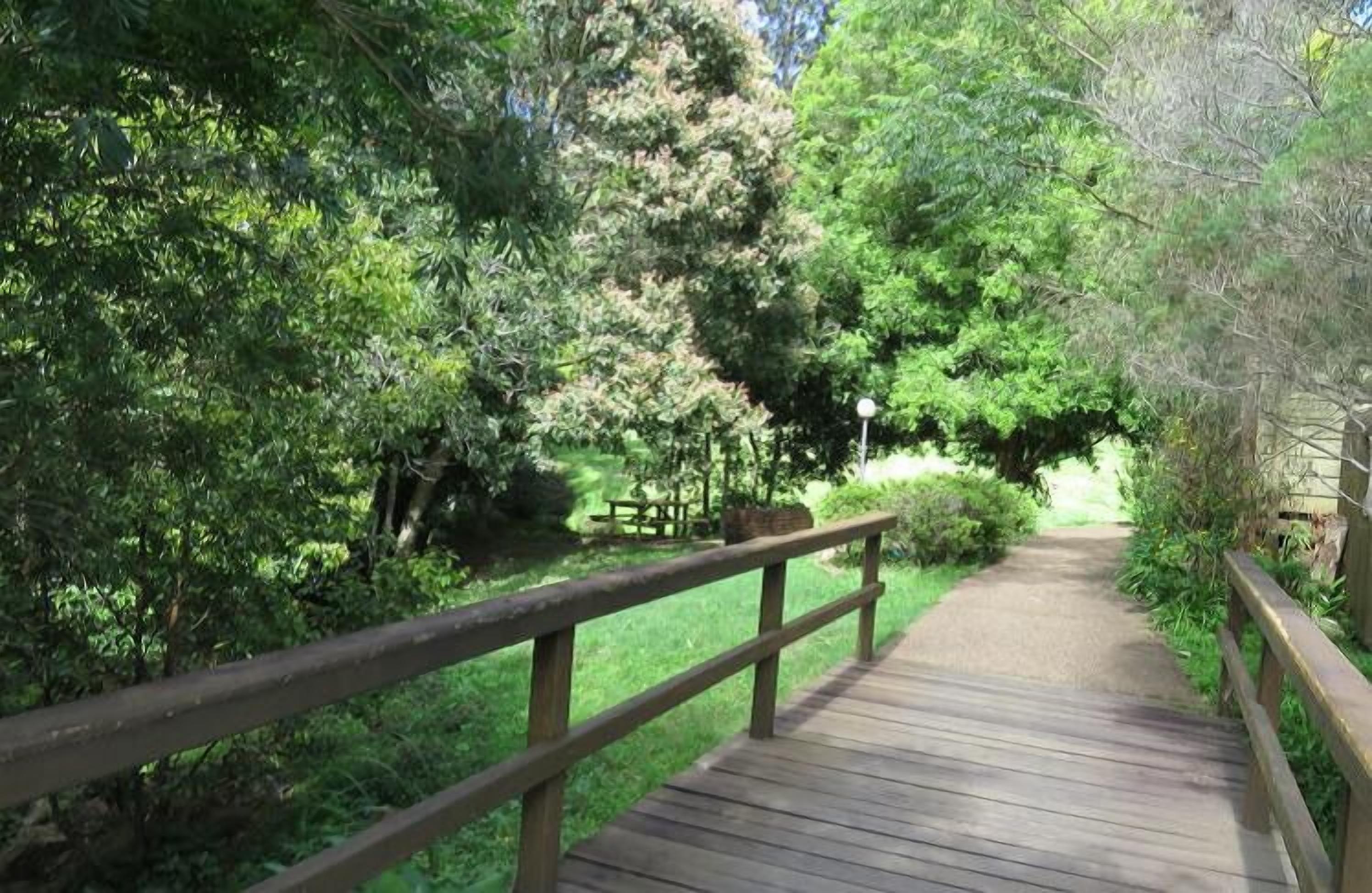 Un muelle de madera serpentea por un parque verde y exuberante, con una densa vegetación a ambos lados.