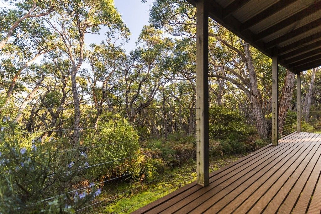 Standard-studio, tupakointi kielletty, keittiö (GrassTrees Cottage) | Näkymä huoneesta