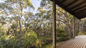 A wooden deck with a view of dense trees and greenery. - Cape Otway Cottages (Hordern Vale)