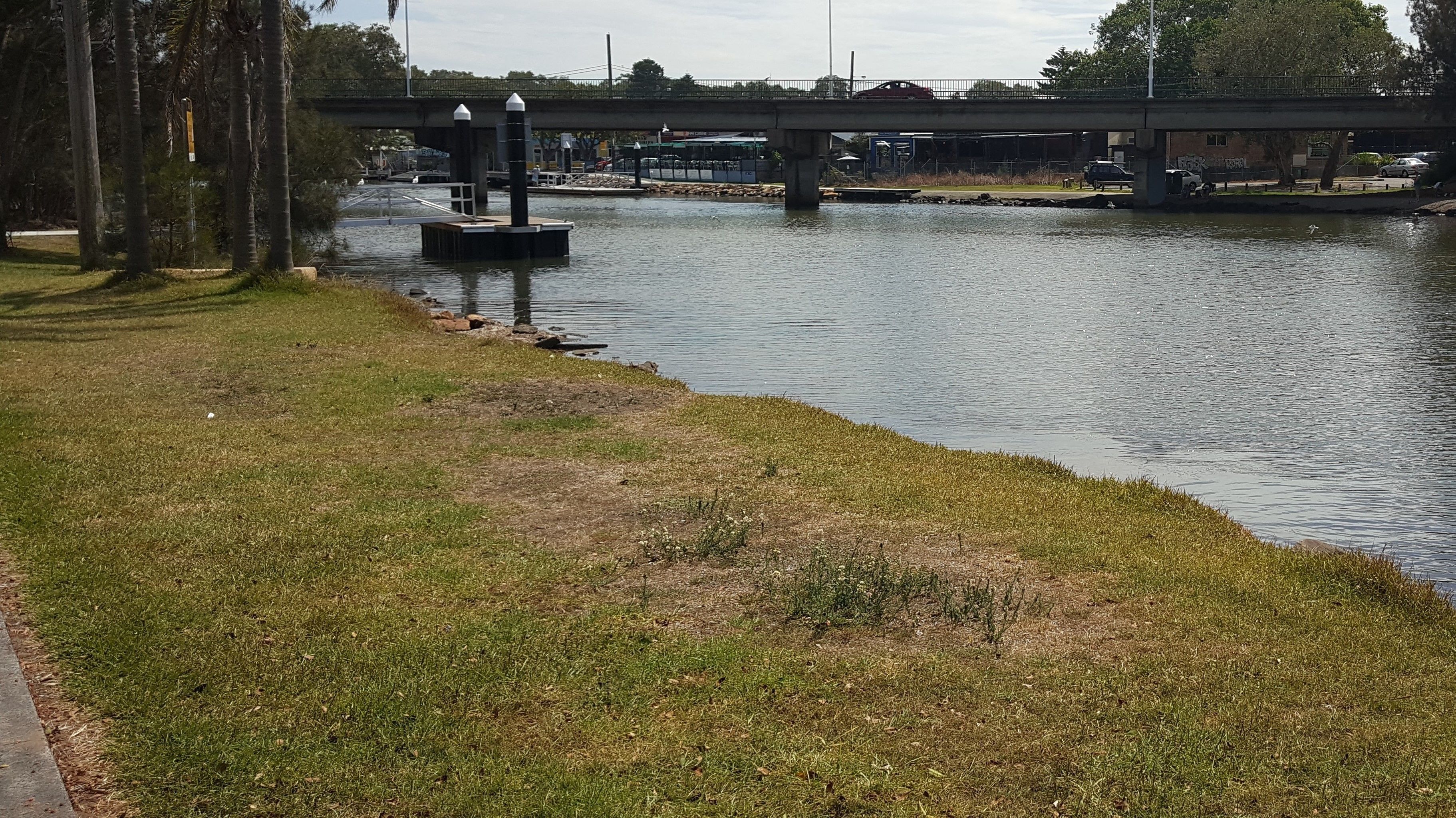 A riverside walkway with a bridge in the background.
