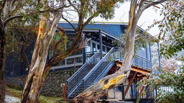 A building with a staircase leading to a balcony, surrounded by trees and a stone wall. - YHA Thredbo (Thredbo)