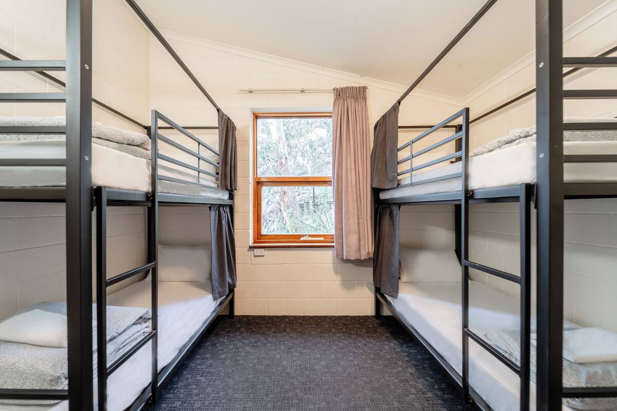A dormitory room with bunk beds, a window with curtains, and a carpeted floor.