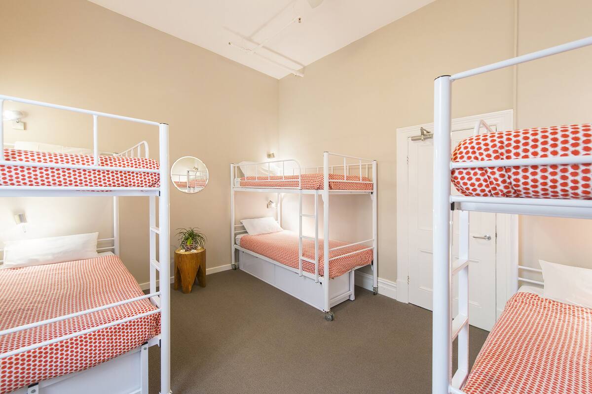 A dormitory room with bunk beds, a small round mirror, and a potted plant.