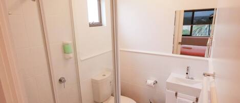 A bathroom with a glass-enclosed shower, a toilet, a sink, and a small window.