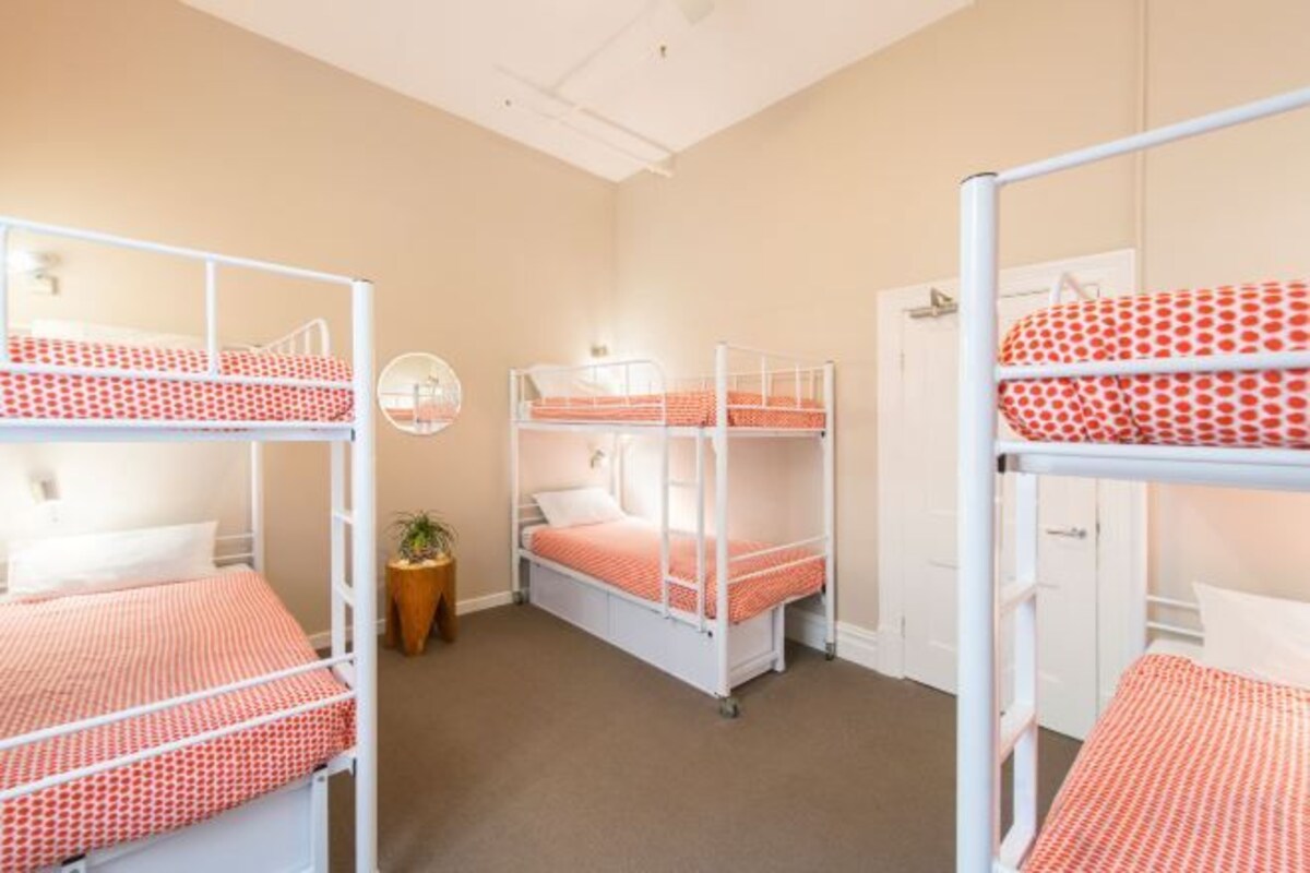 Bed In 6-Bed Mixed Dormitory With Shared Bathroom (Mixed Gender)