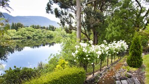 A serene garden with a wooden pathway, lush greenery, and white flowers by a lake. - The Shingles Riverside Cottages (New Norfolk)