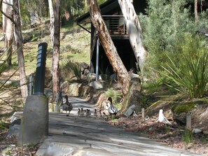 Tree House, Balcony (Yama) | Terrace/patio