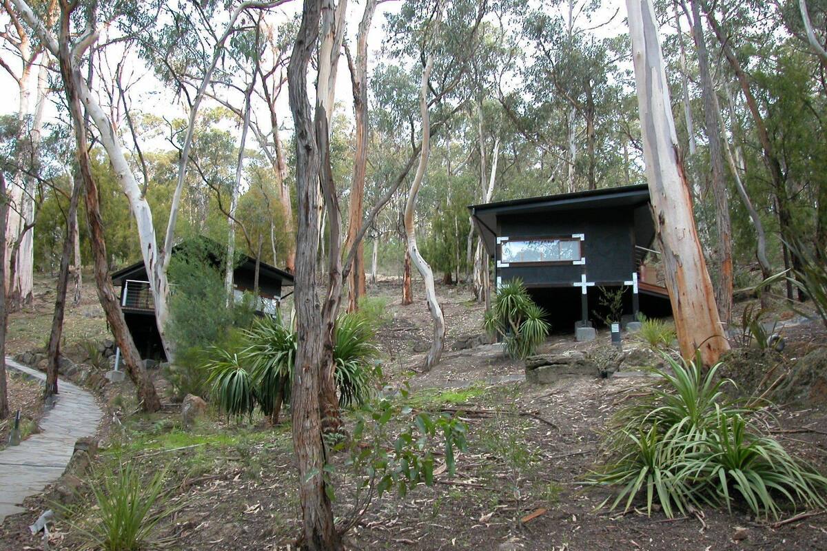 A modern building with a flat roof, surrounded by eucalyptus trees and native plants.