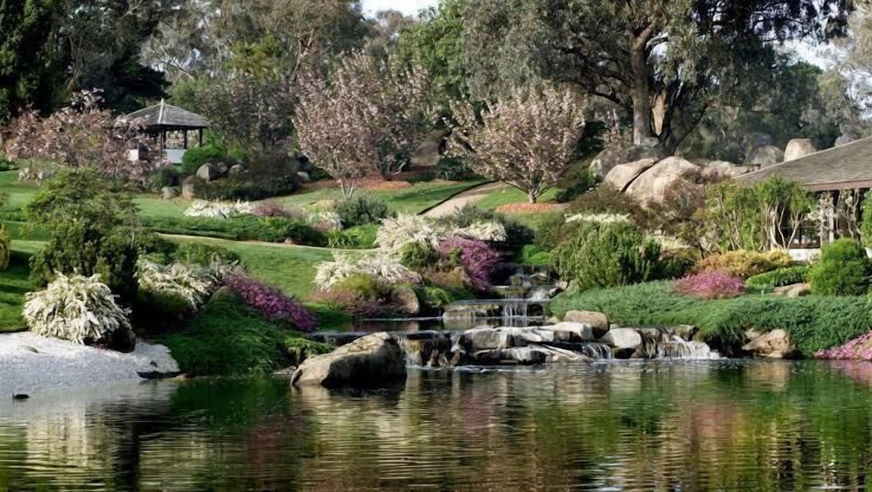 Um jardim tranquilo com lago, diversas plantas e uma pequena ponte.
