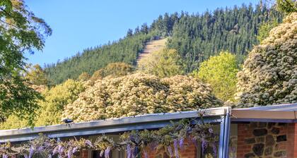 Bright Mystic Valley