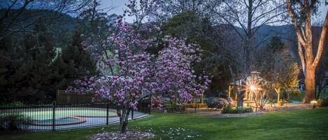 Un jardín bien cuidado con una piscina, rodeado por una valla negra y una variedad de árboles, incluyendo un árbol ornamental con flores.