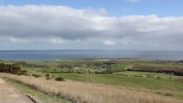 A rural landscape with a road, fields, and a body of water in the distance.