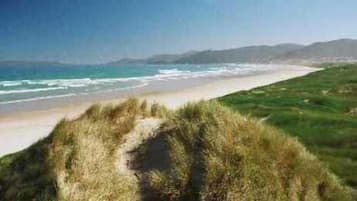 Una spiaggia nelle vicinanze