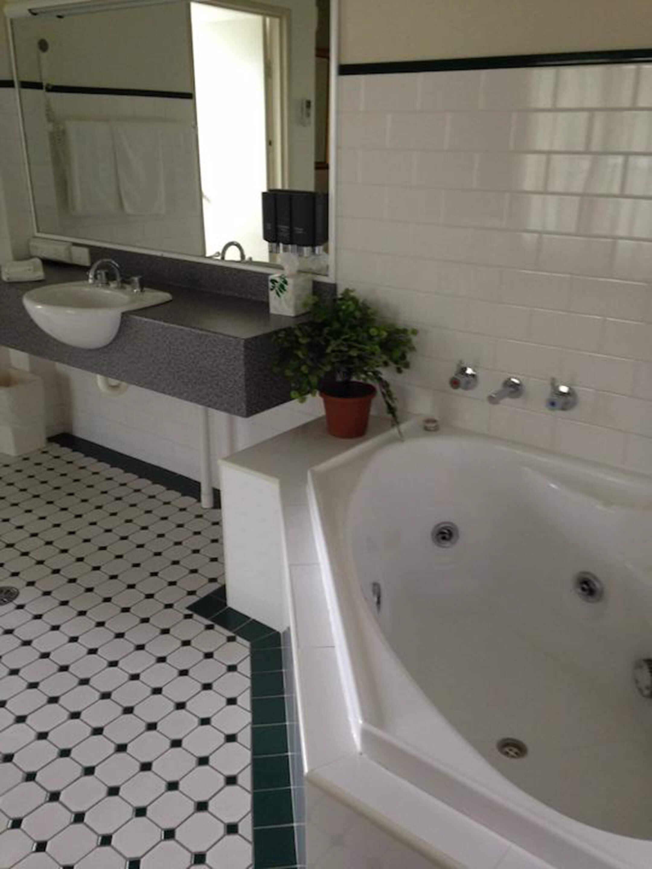 A bathroom with a white sink, a large bathtub, and a potted plant on the counter.
