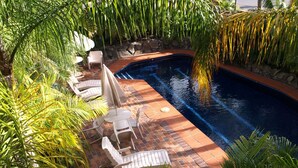Una piscina con sillones de descanso y palmeras.