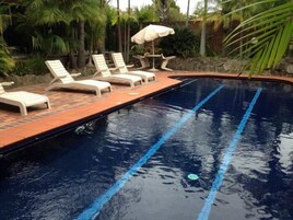 Piscina con sillas de descanso y una palmera al fondo.