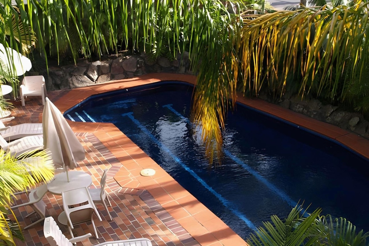 Pool | Outdoor pool, sun loungers