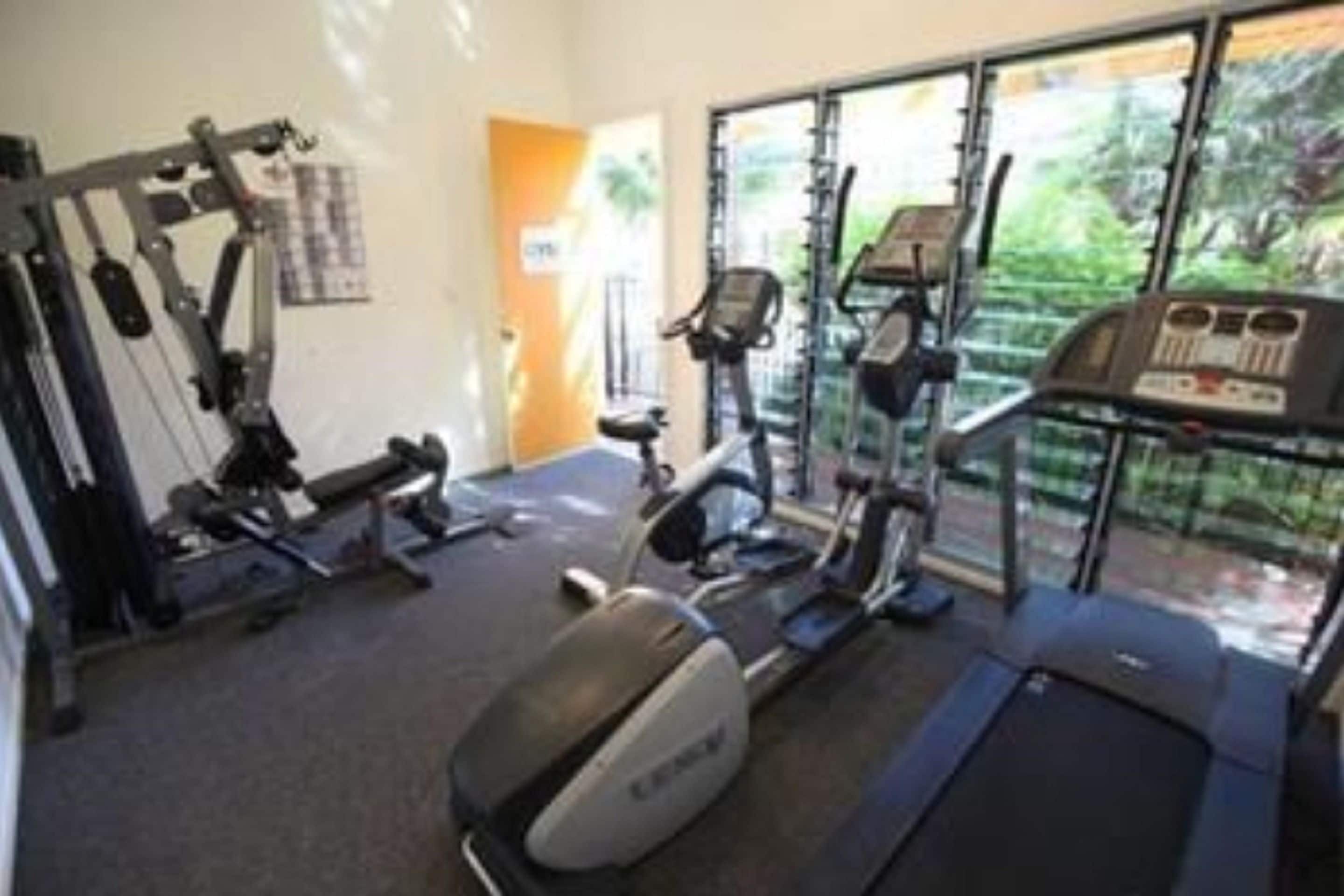 Uma academia com equipamentos de cardio, aparelhos de musculação e esteira.
