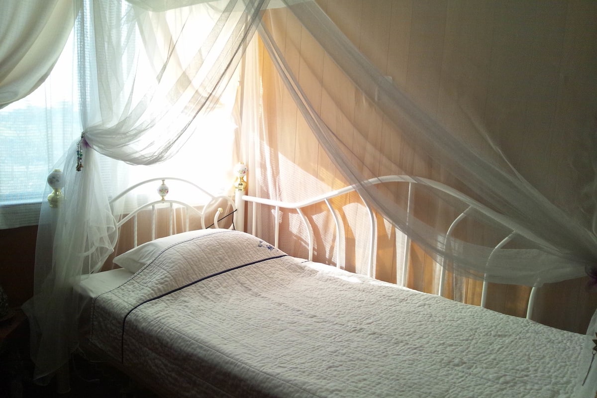 Habitación individual Confort, no fumadores (Jungle View, Female Only,1PrincessBed) | Wifi gratis