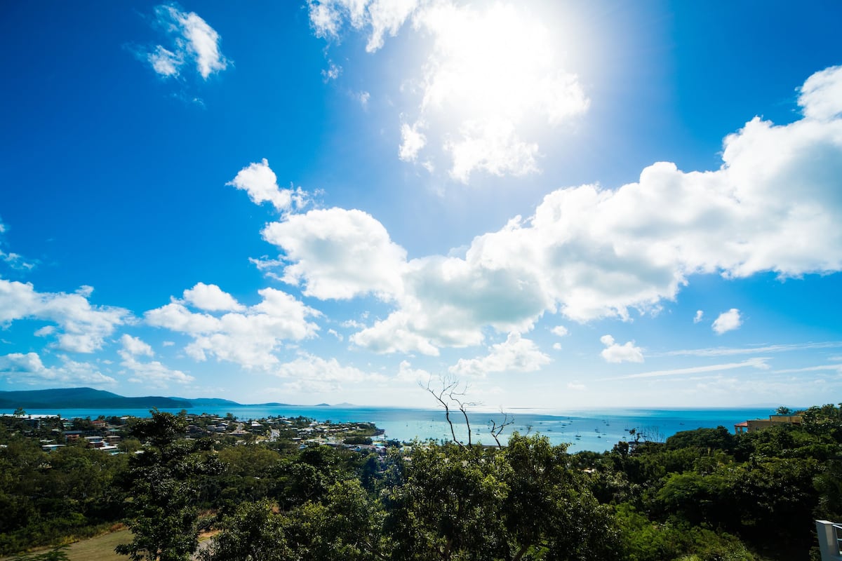 Un paysage côtier avec un ciel dégagé, des arbres et une vue lointaine sur la mer.