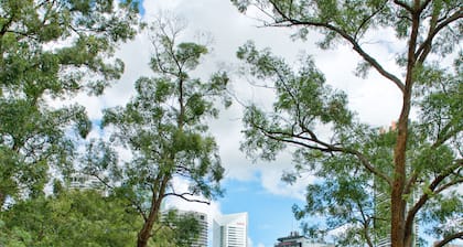 Rivercity Gardens