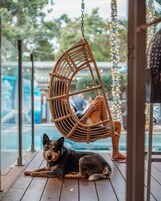 Una terraza de madera con una hamaca colgante y un perro acostado en el suelo.