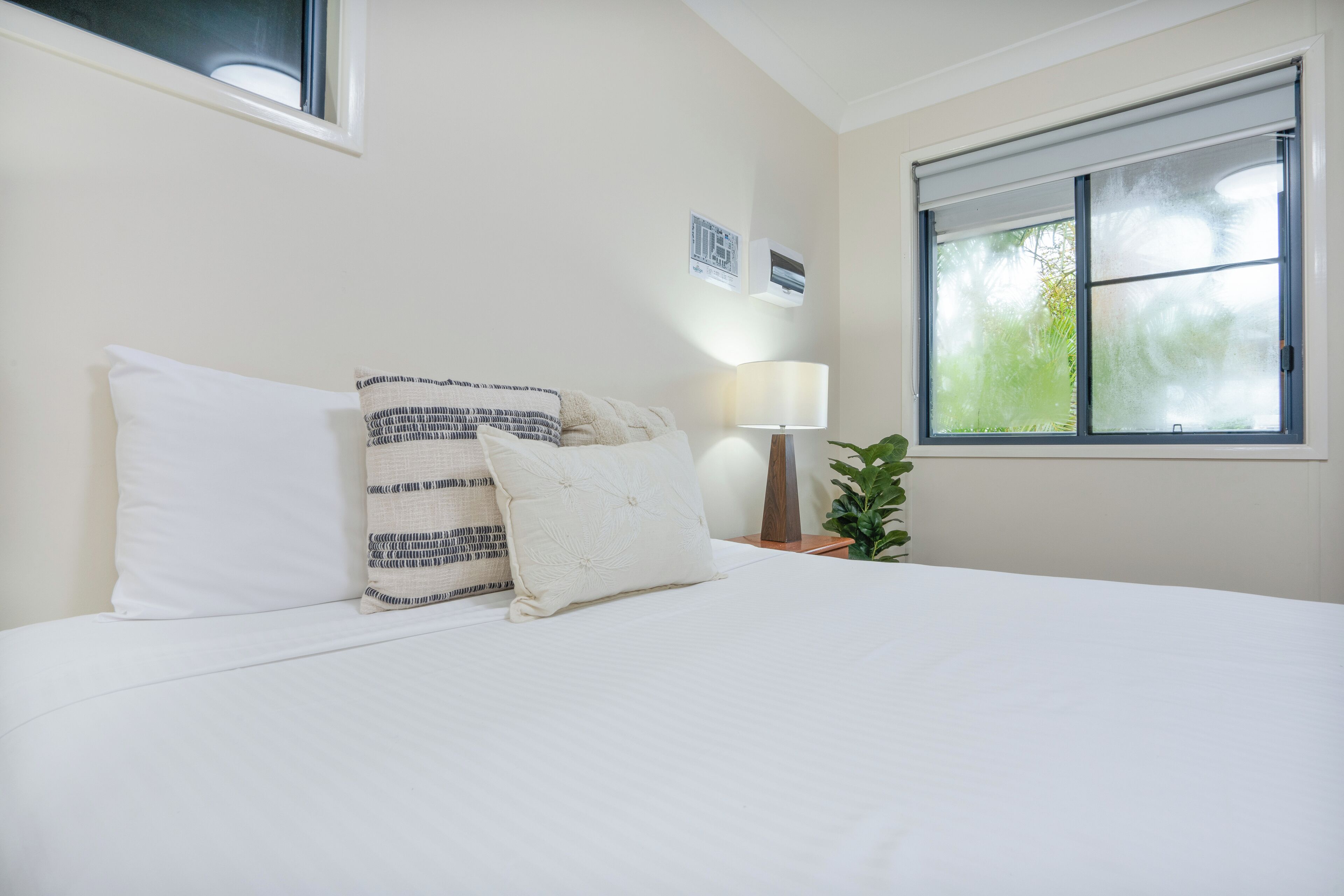 免费 WiFi、床单