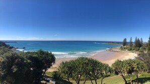 A coastal landscape with a beach, clear blue sky, and dense greenery. - Pacific Hotel Yamba (Yamba)