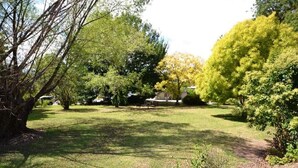 Property grounds - Mt Beauty Motor Inn (Mount Beauty)