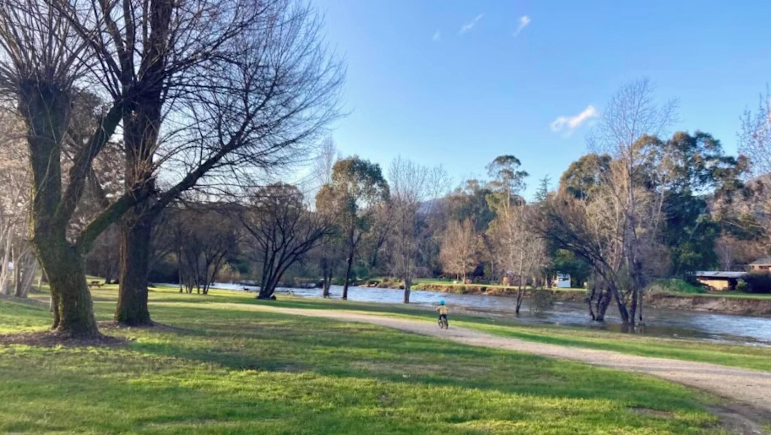 Un parque con un sendero de tierra, árboles y un río.