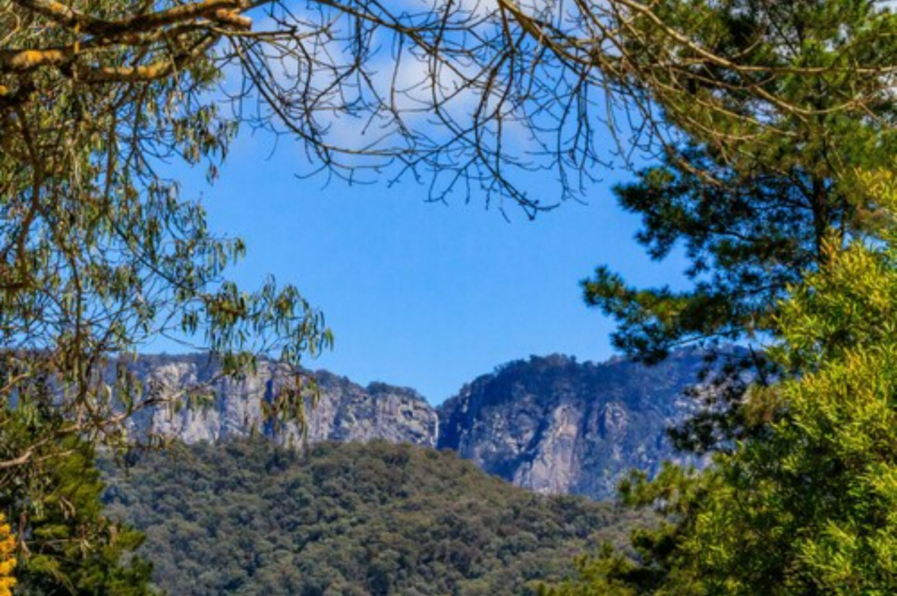 Eine gebirgige Landschaft mit dichtem Wald und steilen Felsen.