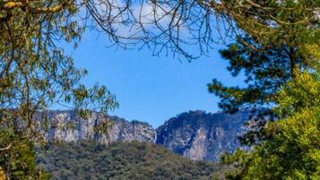 Eine gebirgige Landschaft mit dichtem Wald und steilen Felsen.