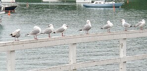 Reception - Seaport Village (Russell)