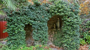A stone archway partially covered by ivy. - The Priory Beechworth (Beechworth)