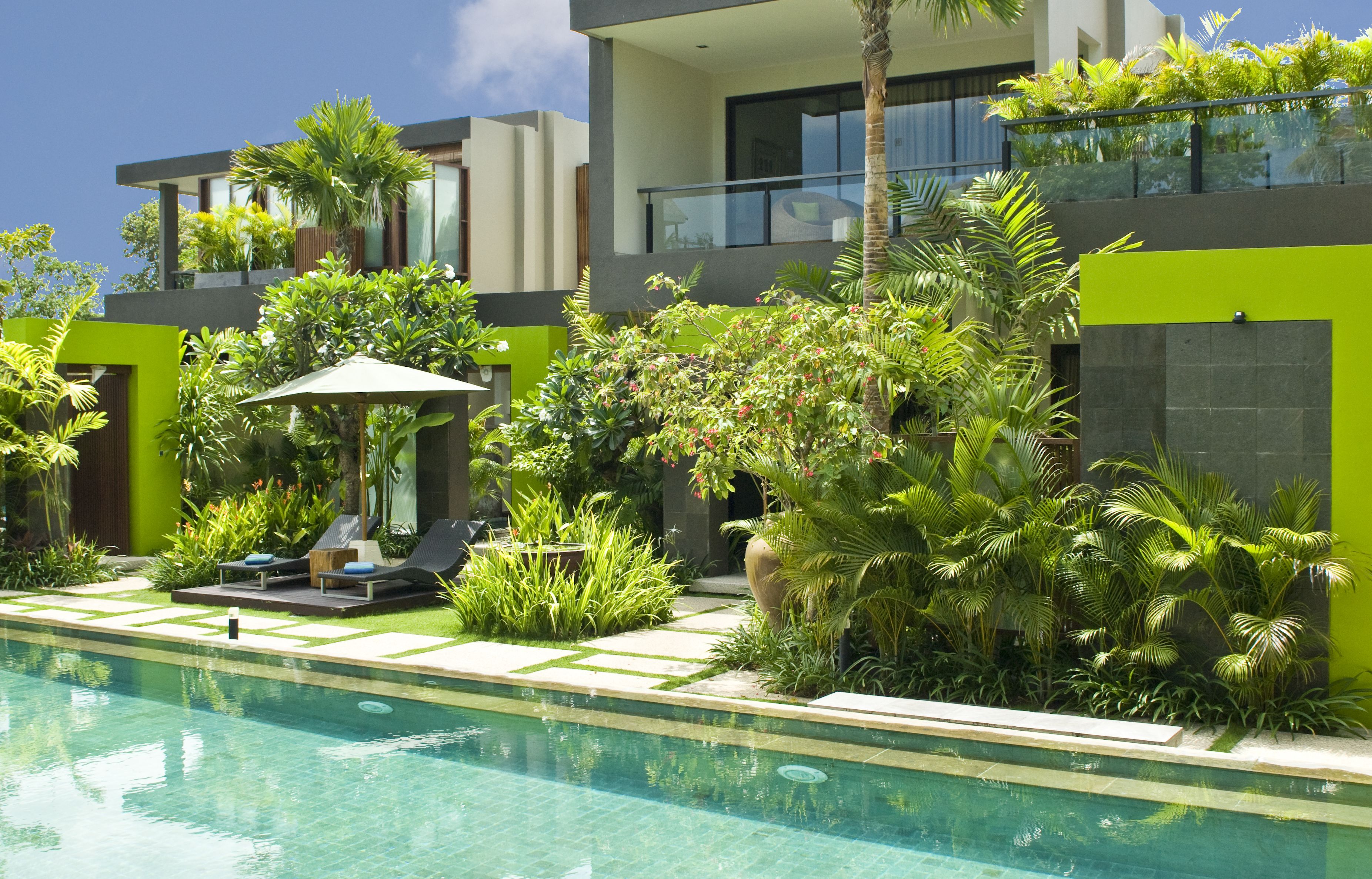 A modern pool area with lounge chairs, a small table, and a palm tree.