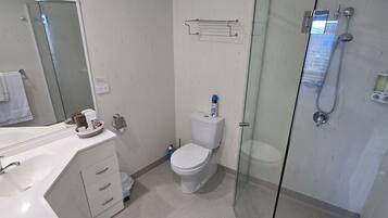 A bathroom with a toilet, sink, shower, and a glass-enclosed shower stall.