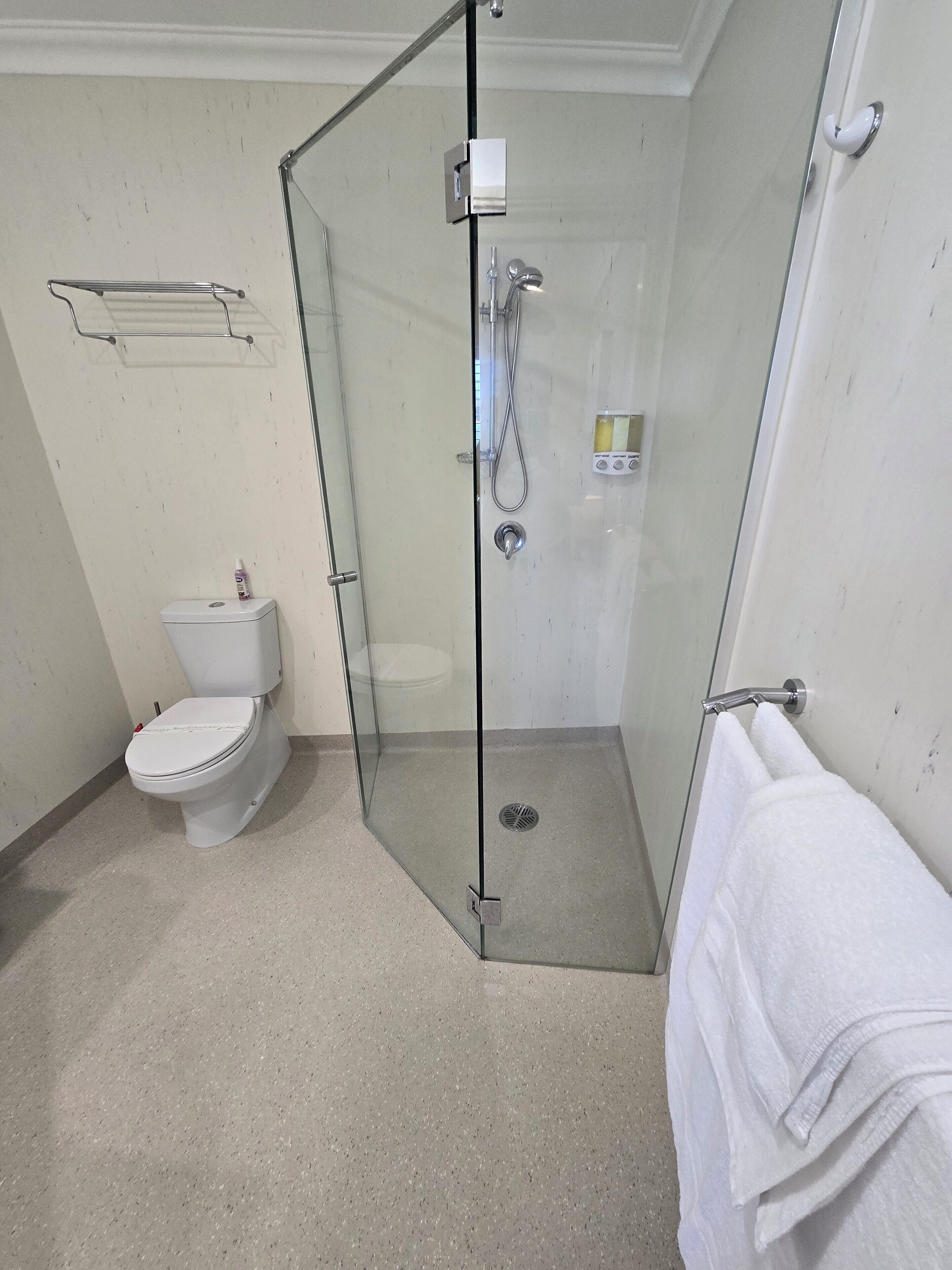 A modern bathroom with a glass-enclosed shower, a toilet, and a towel rack.