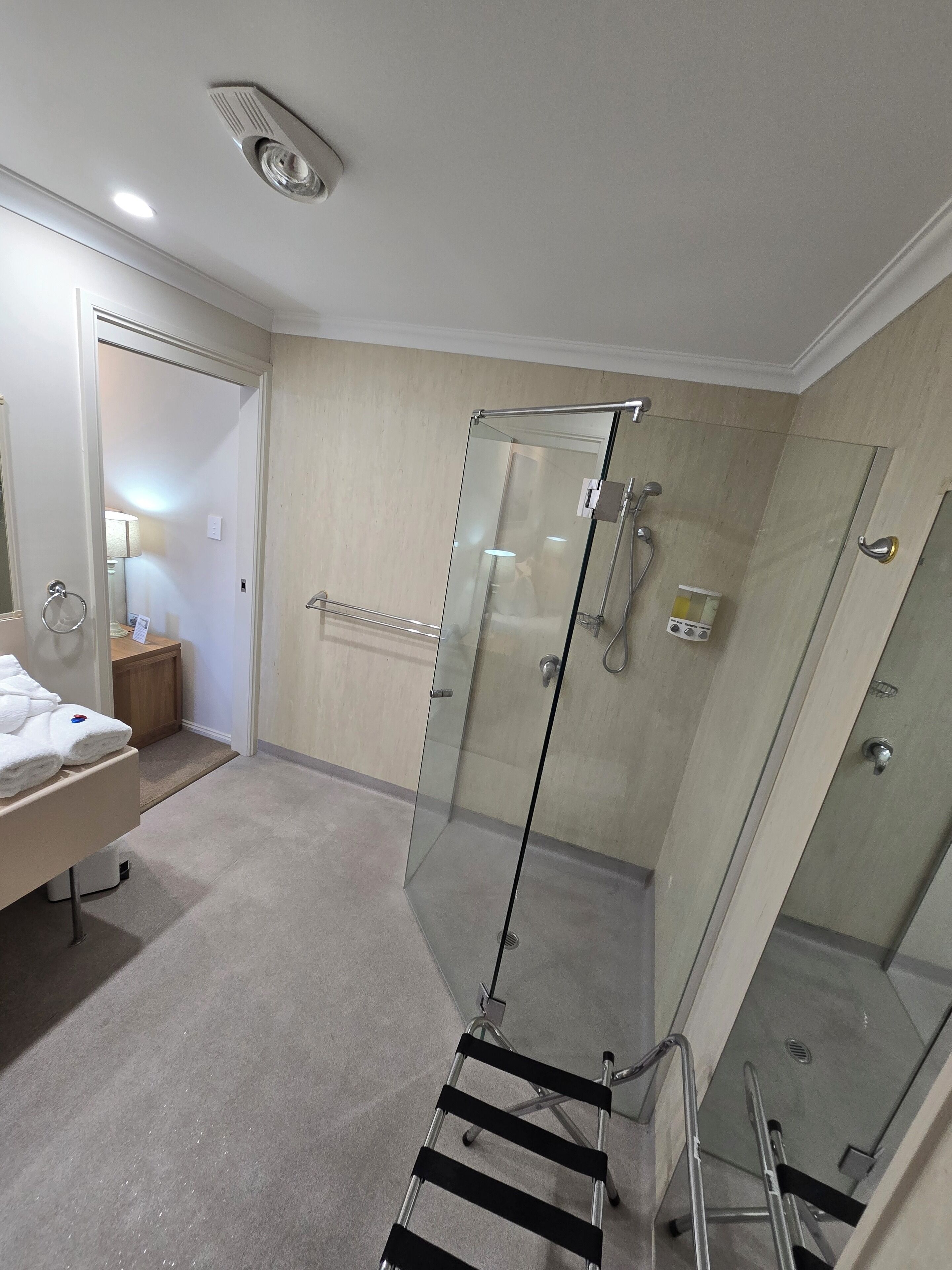 A modern bathroom with a glass shower enclosure, a toilet, and a sink.