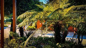 Un jardín con diversas plantas y un edificio de ladrillo al fondo.