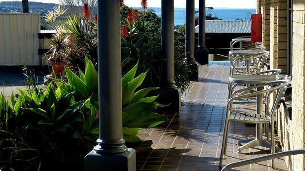 Terrace/patio - Coastal Comfort Motel (Narooma)
