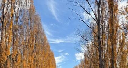 Carinya Village Jindabyne