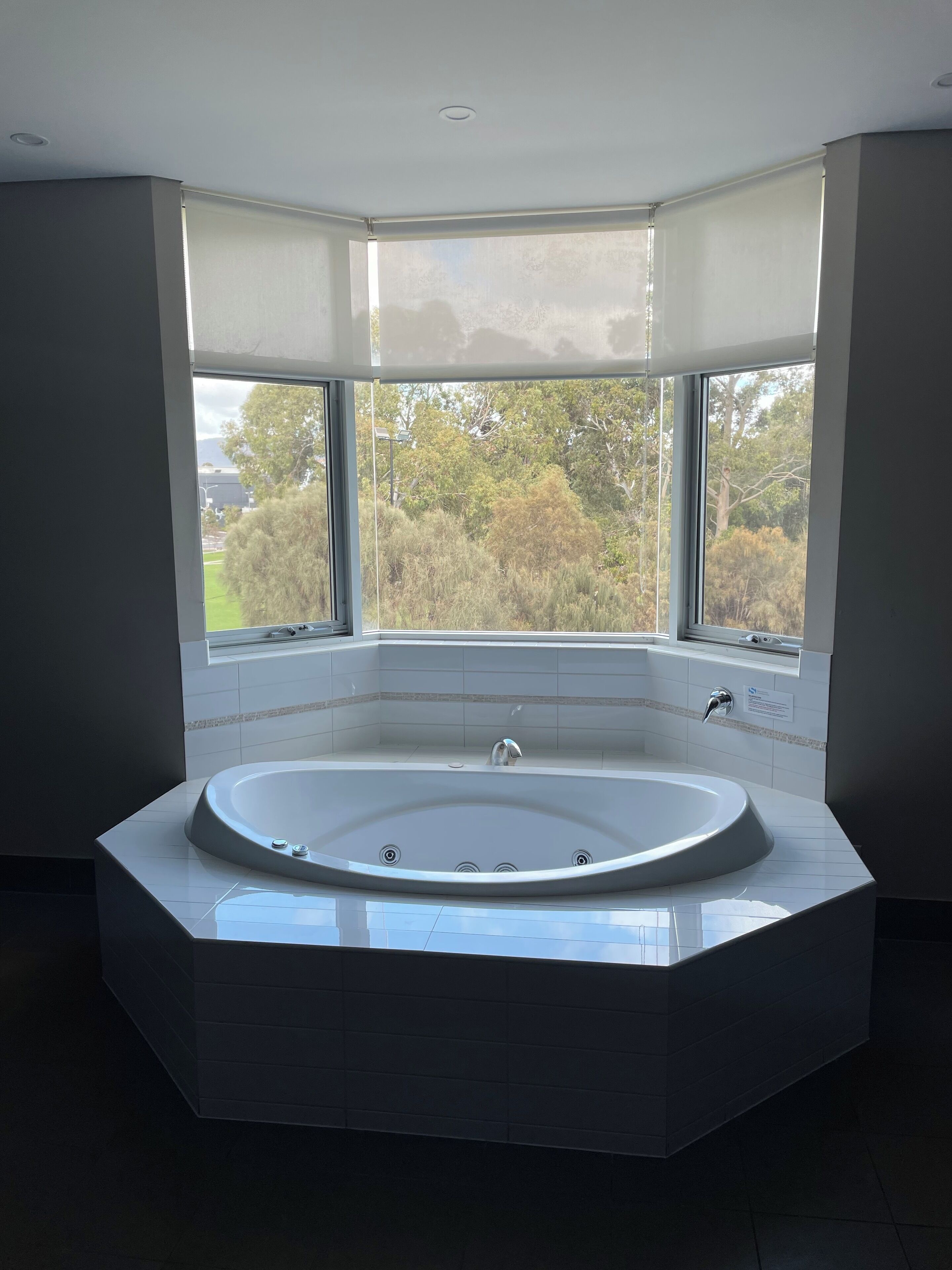 queen single spa suite parkview | garden view