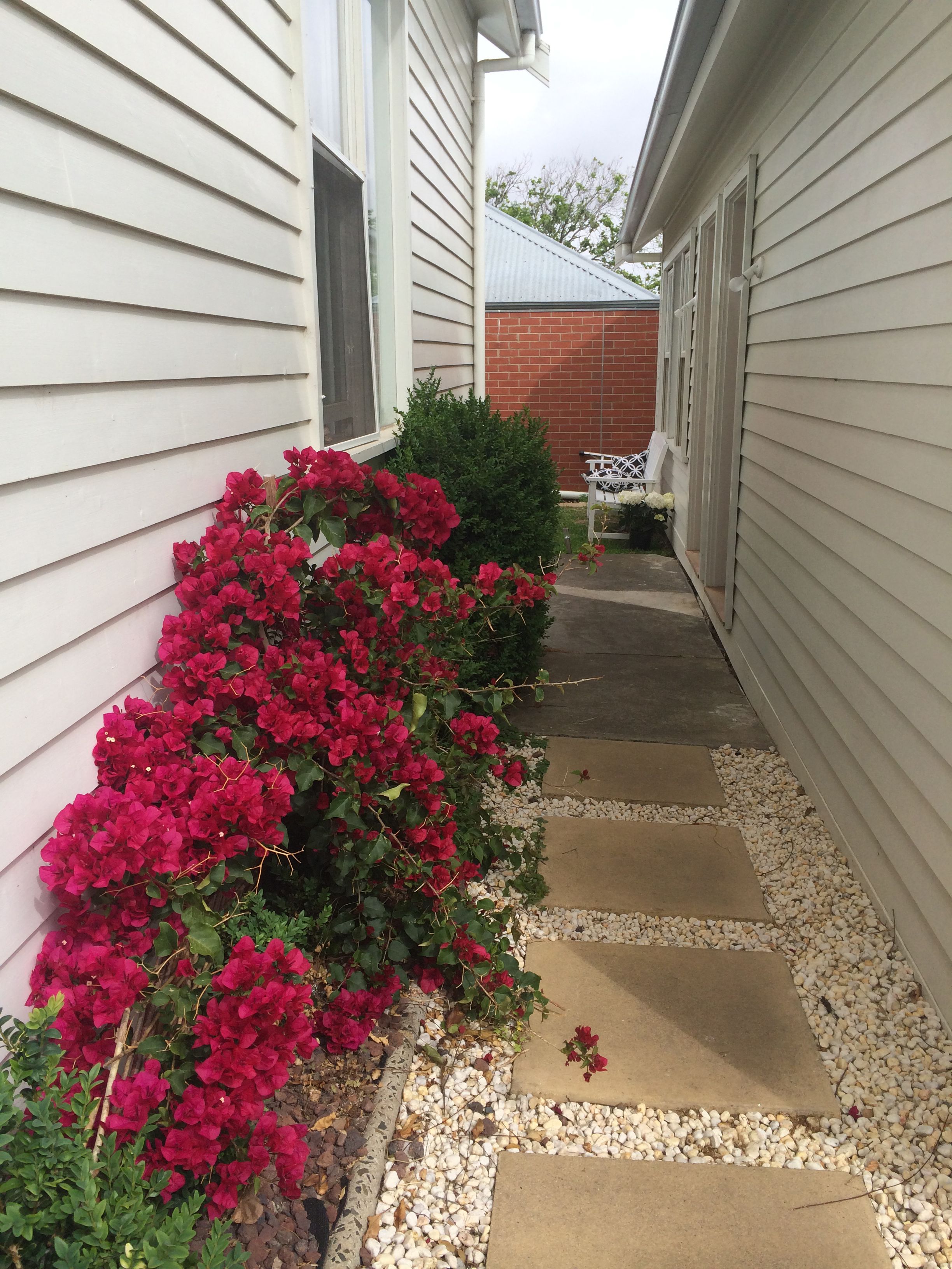 A narrow pathway leading to a house with white siding, a small bush, and a bench.