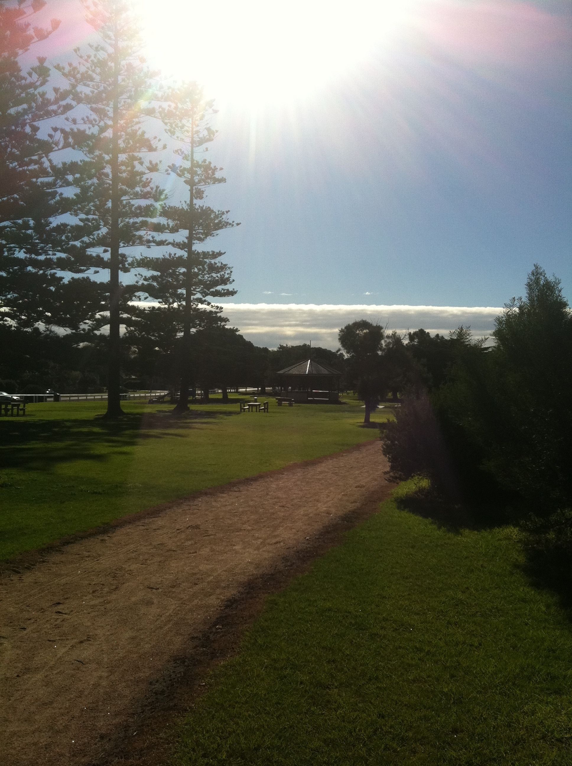 A park with a dirt path, green grass, and trees.